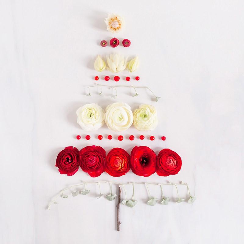 Dynasty Property Group tweet media