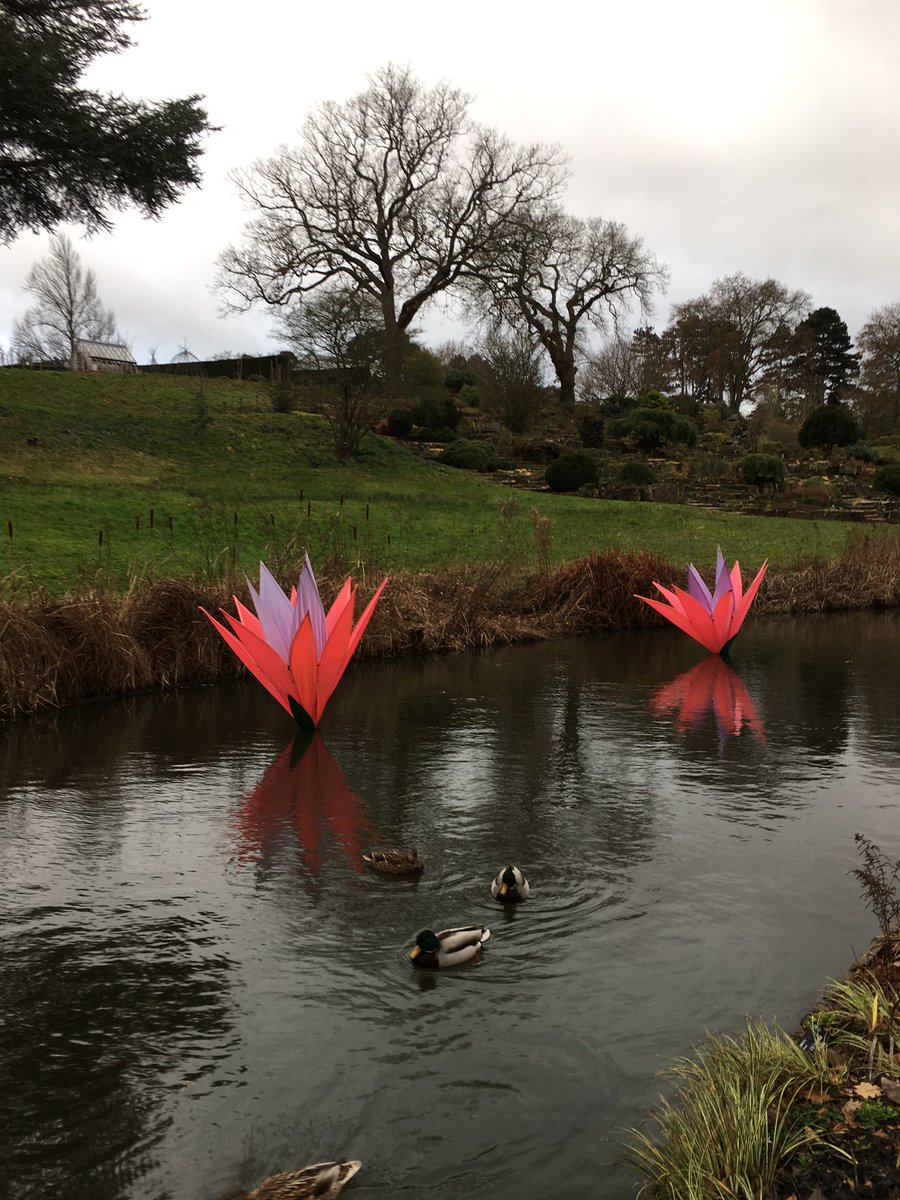 AlpanaDeshmukh's tweet photo. If you’re looking for pops of colour and festive cheer on a grey day, head over to @RHSWisley for #glow18 https://t.co/bWihX6y2mV