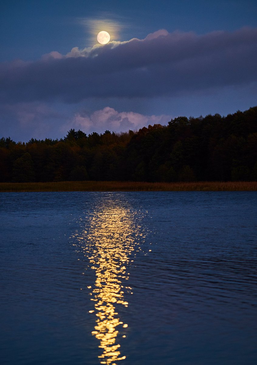czart_'s tweet photo. #moon #moonlight #fujifilm_xseries https://t.co/x6uxzJLndd