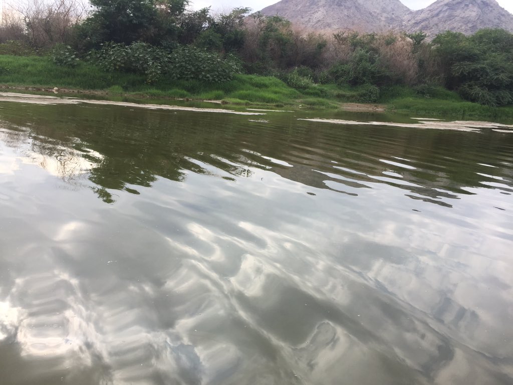 اجتزت عصر اليوم بارق والمجاردة والطلاليع ولفت نظري وادي (يبه) بالهاء وقفا .. يجري بماء زلال تزفه أشجار خضراء على ضفتيه .. ثم اجتزت ثربان فخميس حرب واستوقفني وادي (قنونا) بمناظره الخلابه .. عندها تذكرت بيتا من قصيدة لكثير عزة :
محل أخي بني أسد قنونا
إلى يبة إلى برك الغماد