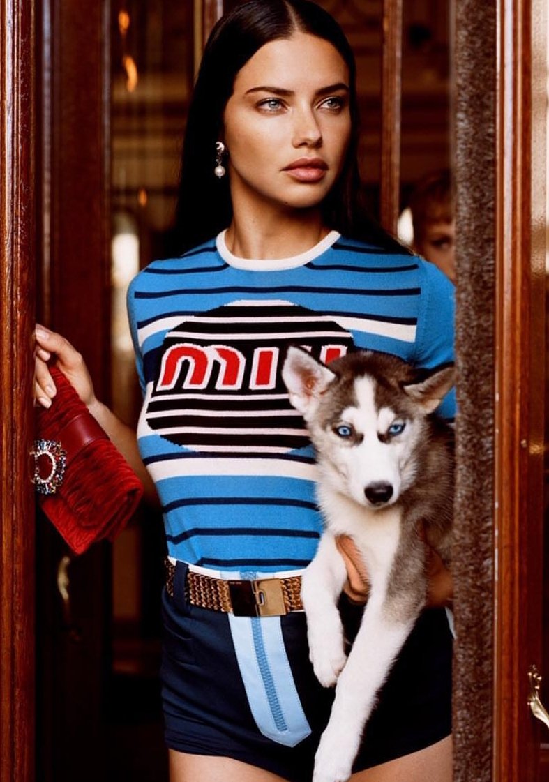 JayeSergeant's tweet image. It seems lively tonight. Even my dog is riled up.