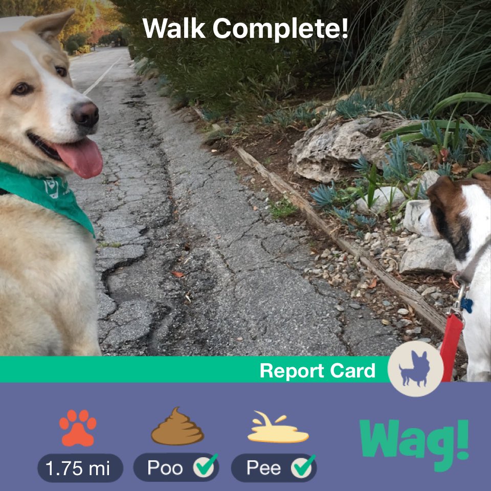 VastData's tweet image. Just finished a dog walk on Wag! Use my link wagwalking.app.link/I0EQpUSsKQ for $50 of FREE Wag credit!