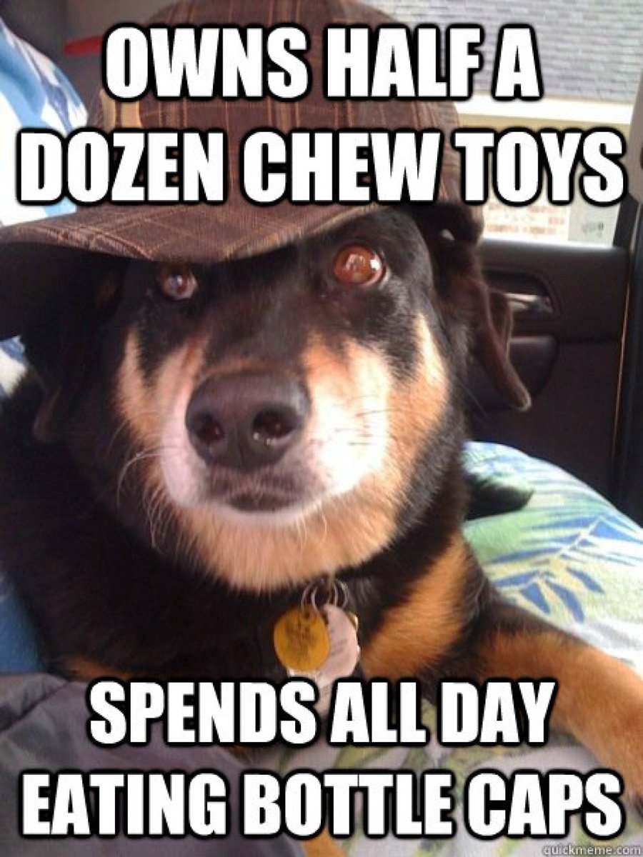 EpetsHome tweet picture
