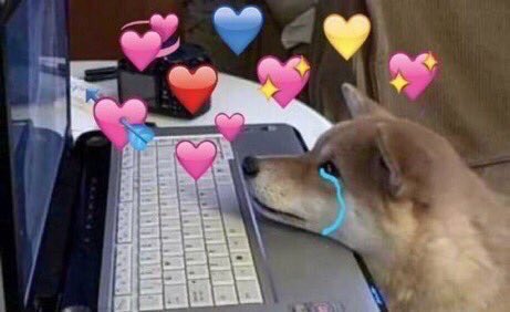 Reaction Pics More Crying Dog With Hearts Looking At A Computer Screen T Co N2hgocl2ve Twitter