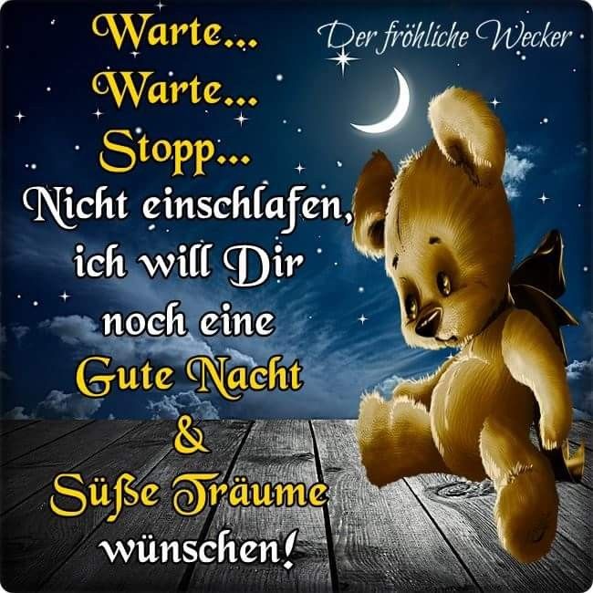 Maria On Twitter Gute Nacht Und Schone Traume