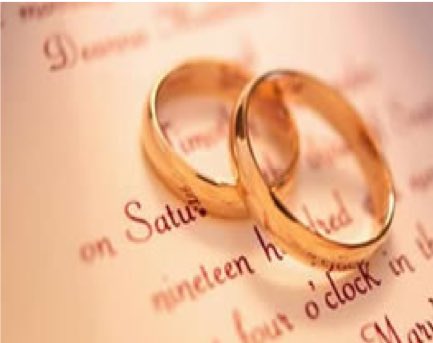 Inn at 202 Dover tweet media