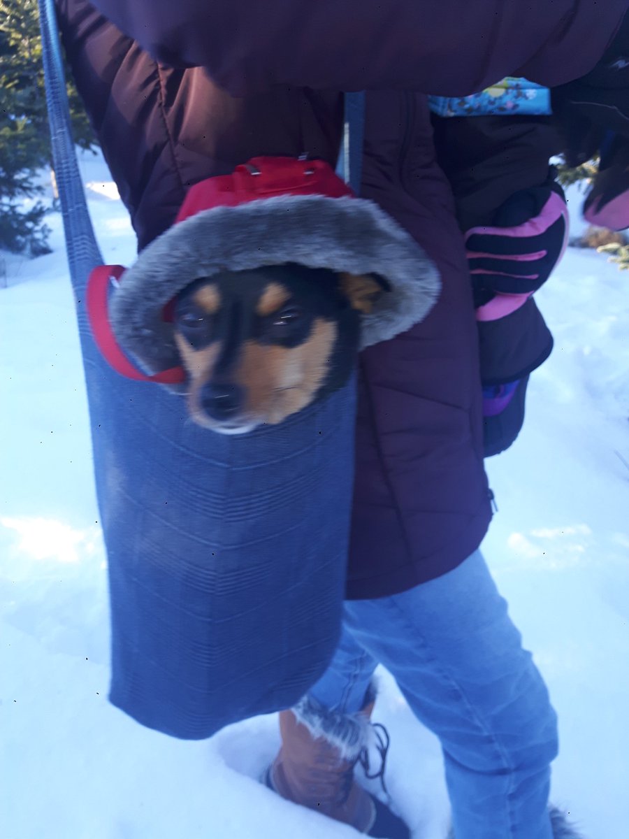 27nerak's tweet photo. #baby its cold outside https://t.co/j3AzX5j5jV
