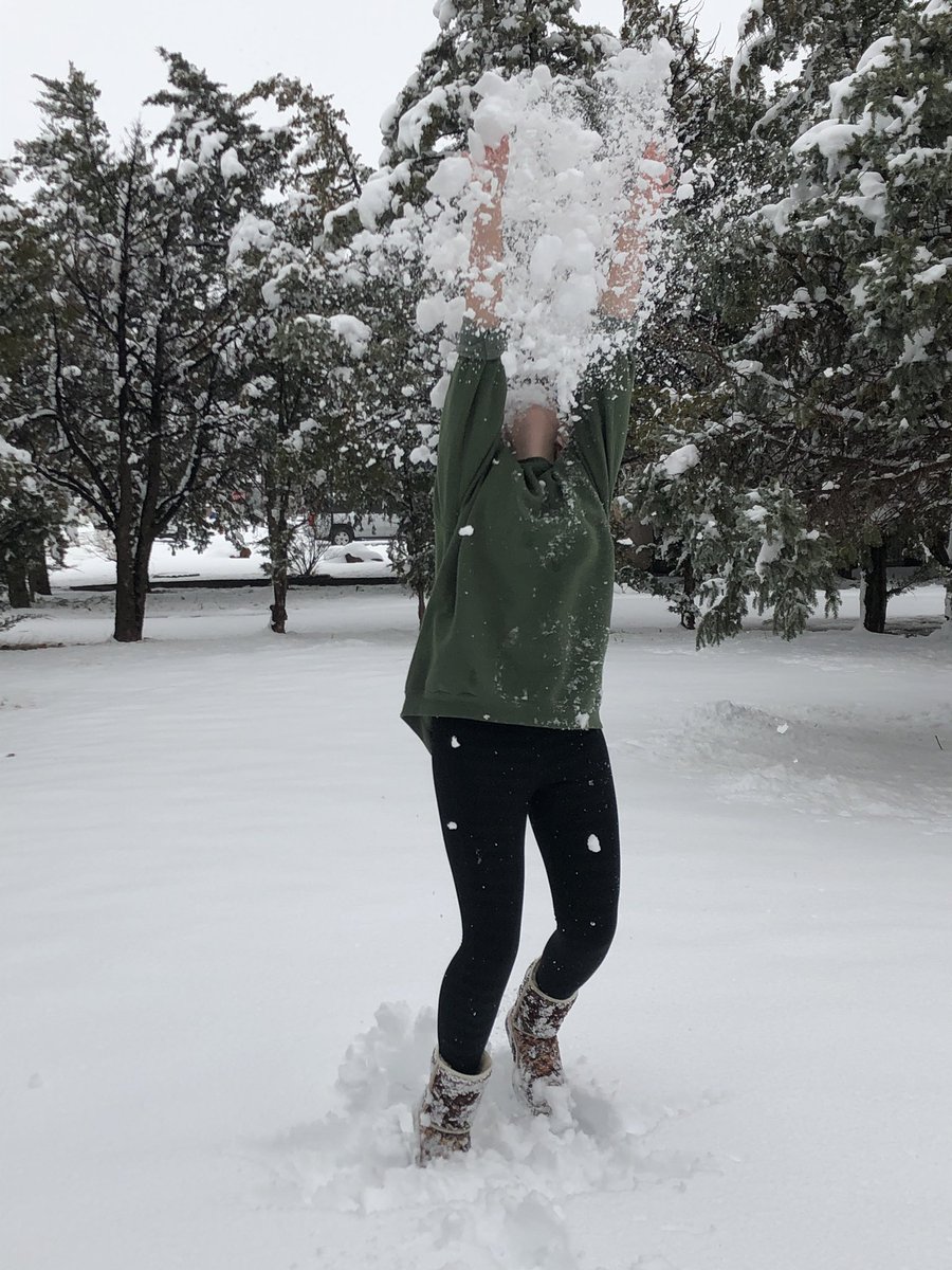 aterry4114's tweet photo. my mom wanted to take some pics so i thought it’d be a good idea to throw up some snow and hit it so it would break apart the ball. needless to say it did not work https://t.co/yHK6nZATNp