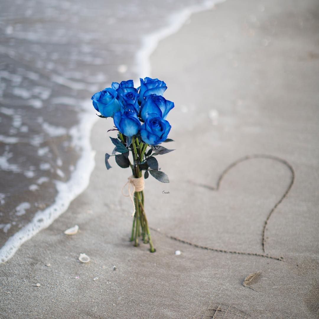 ومن بعد حُبك ما لفتني مُحب 💙'