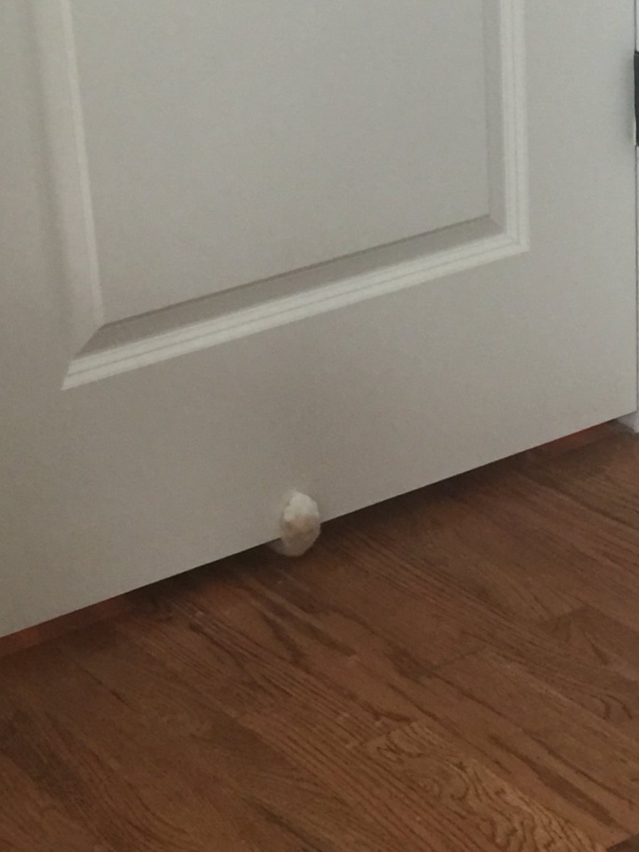QueenNuggies's tweet photo. Let Me In https://t.co/lgxYGU8Tlj
