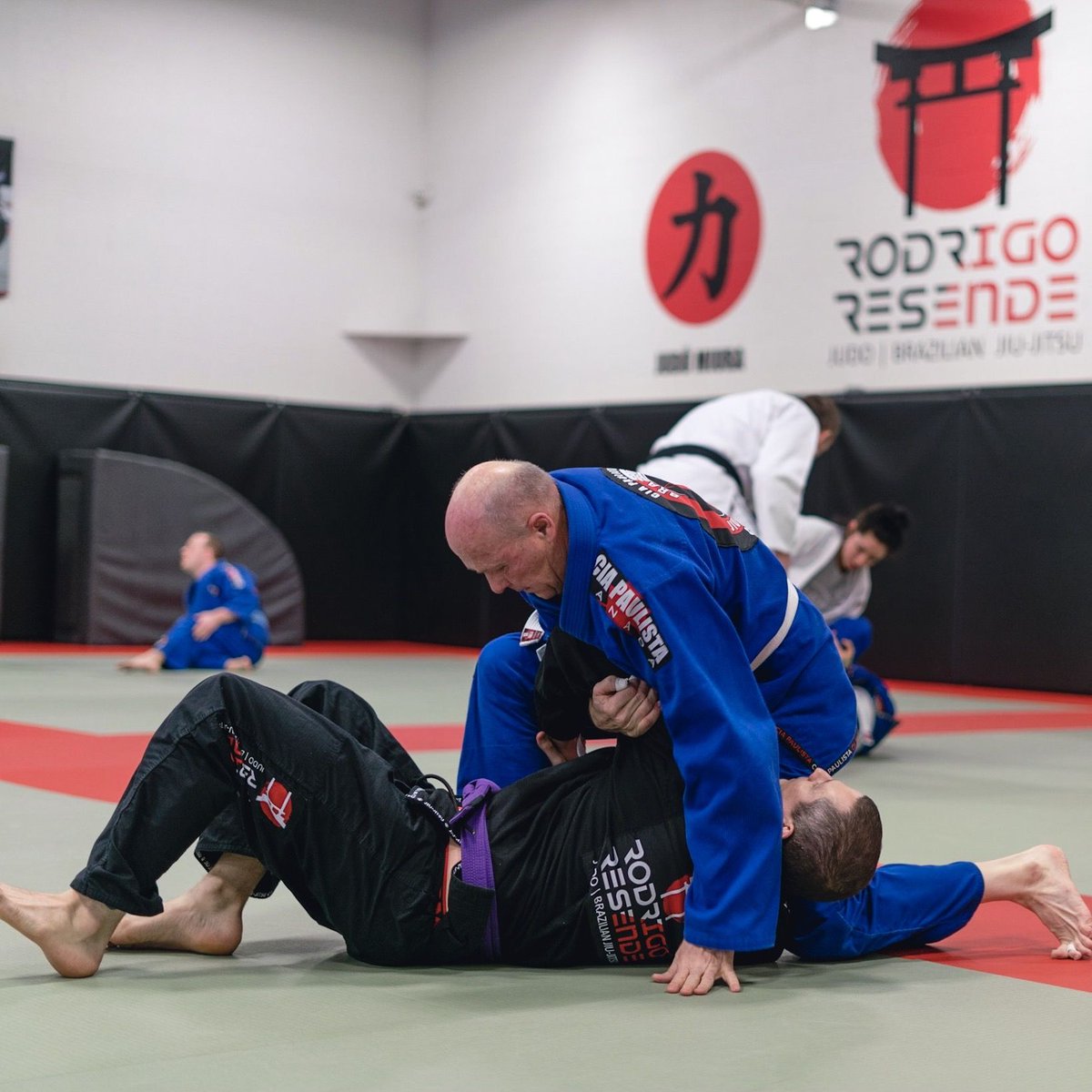 Rodrigo Resende Academy tweet media