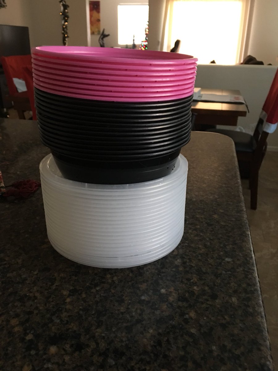 <a href="/tokyojoes/">Tokyo Joe's</a> We love you guys! Maybe to much.... 😂 our every Friday night dinner 🍽