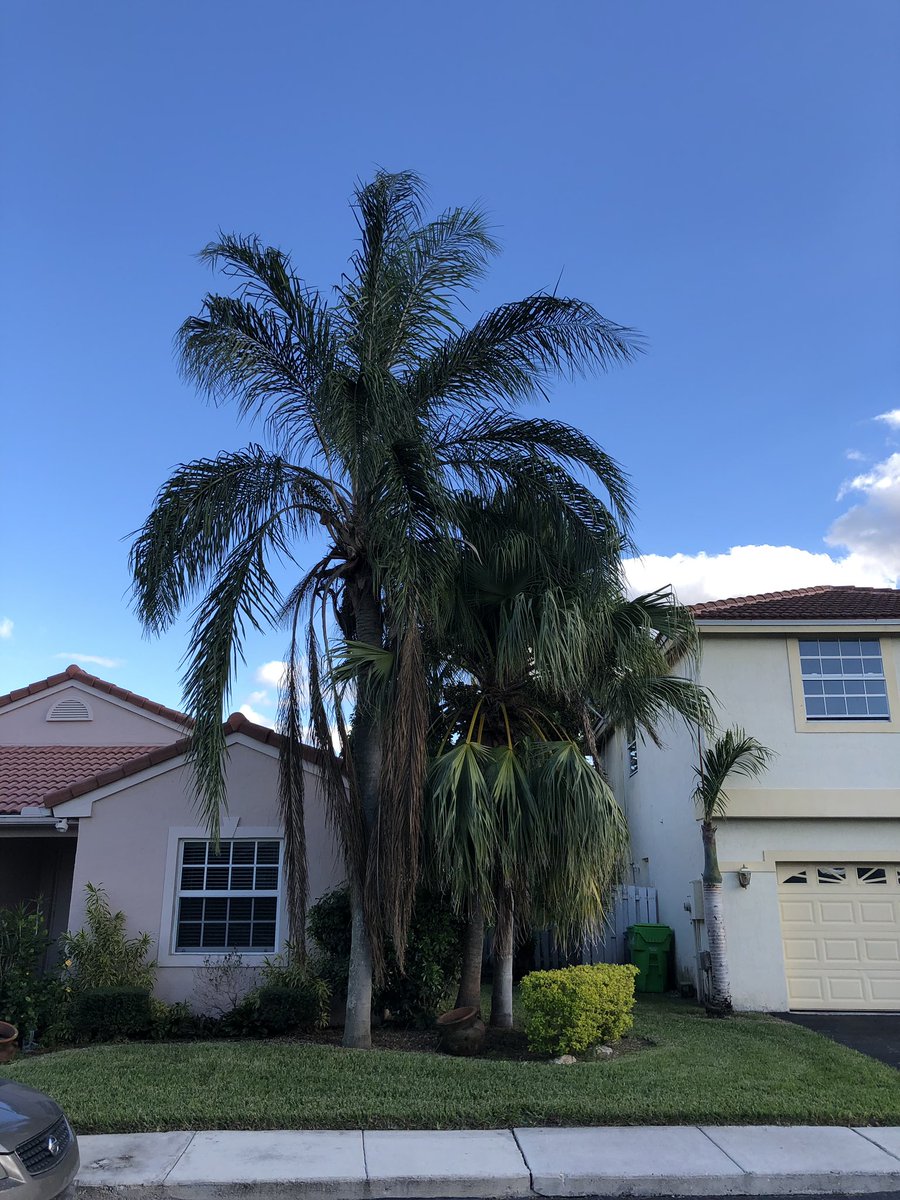 ALTreeCompany's tweet image. #ALTreeCompany