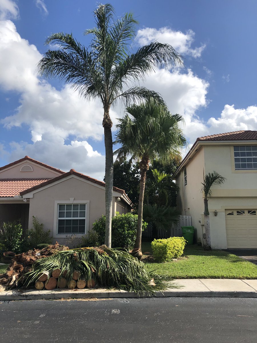 ALTreeCompany's tweet image. #ALTreeCompany