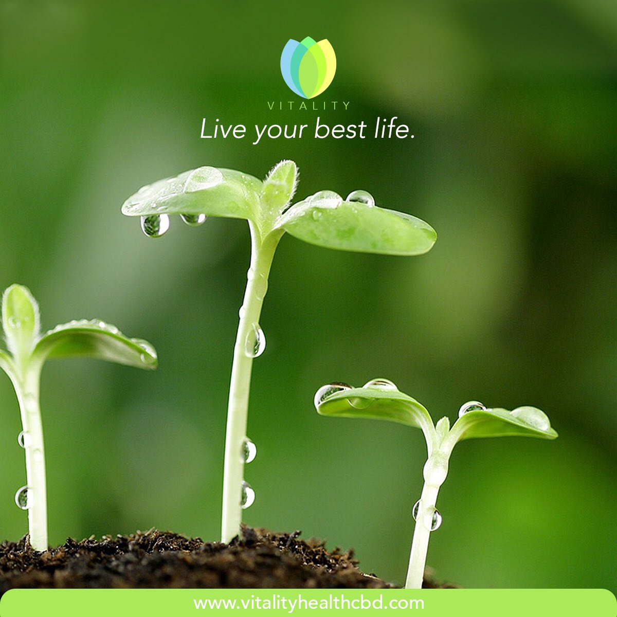 VitalityCbd's tweet photo. Live your best life. Visit #VitalityHealthCBD to get your #CBD today! #nanoparticle #Vitality #health #healthylifestyle #lifestyle #cbdlifestyle #cbdoil #cbdheals #cbdhealth #liveyourbestlife https://t.co/TJsdR2lIO9