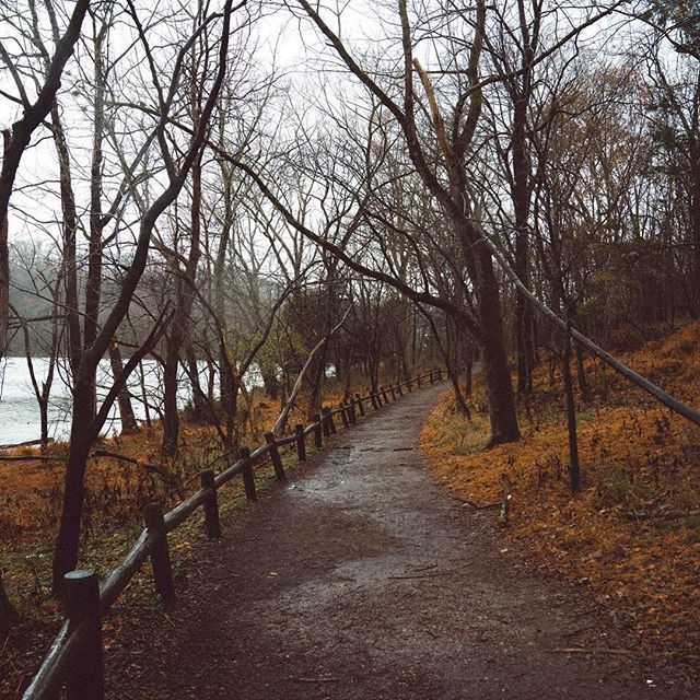 TNExplorersClub's tweet photo. Never too cold to get outside. .
.
.
.
.
.
#nashville #nashvilletn #nashvilleexplorersclub #tennessee #hiking #adventure #radnorlake #outdoors #fall #autumn https://t.co/OcYMSN5TBV https://t.co/sJZSi99ics