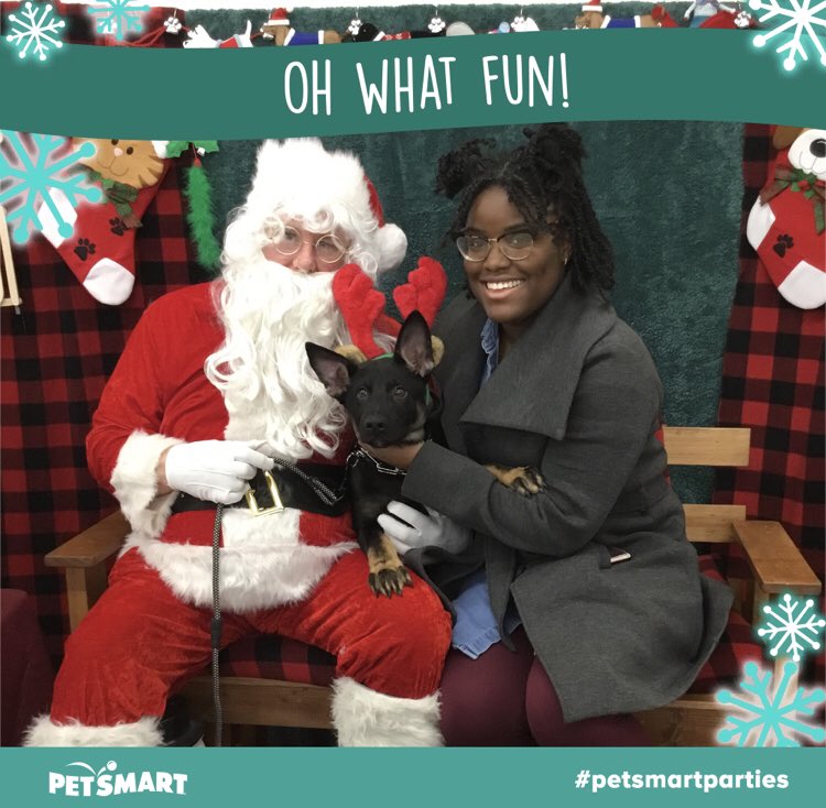 Petsmart 0255 tweet media