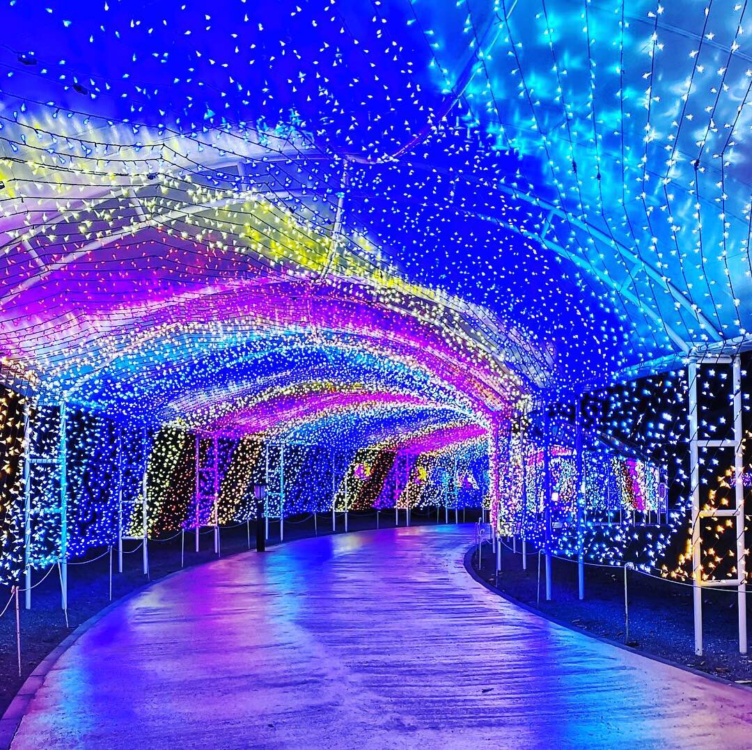 ট ইট র マチウケ 今日のイイマチ 神奈川県横浜市 シーパラの夜がスゴい 神秘的に光り輝き 島内を包む 絶景のイルミネーション ー写真ー Nblsblさんのツイートより マチウケ 旅行 観光 夜景 イルミネーション 水族館 遊園地 八景島シー