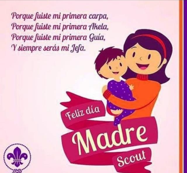 Scouts Panama tweet media