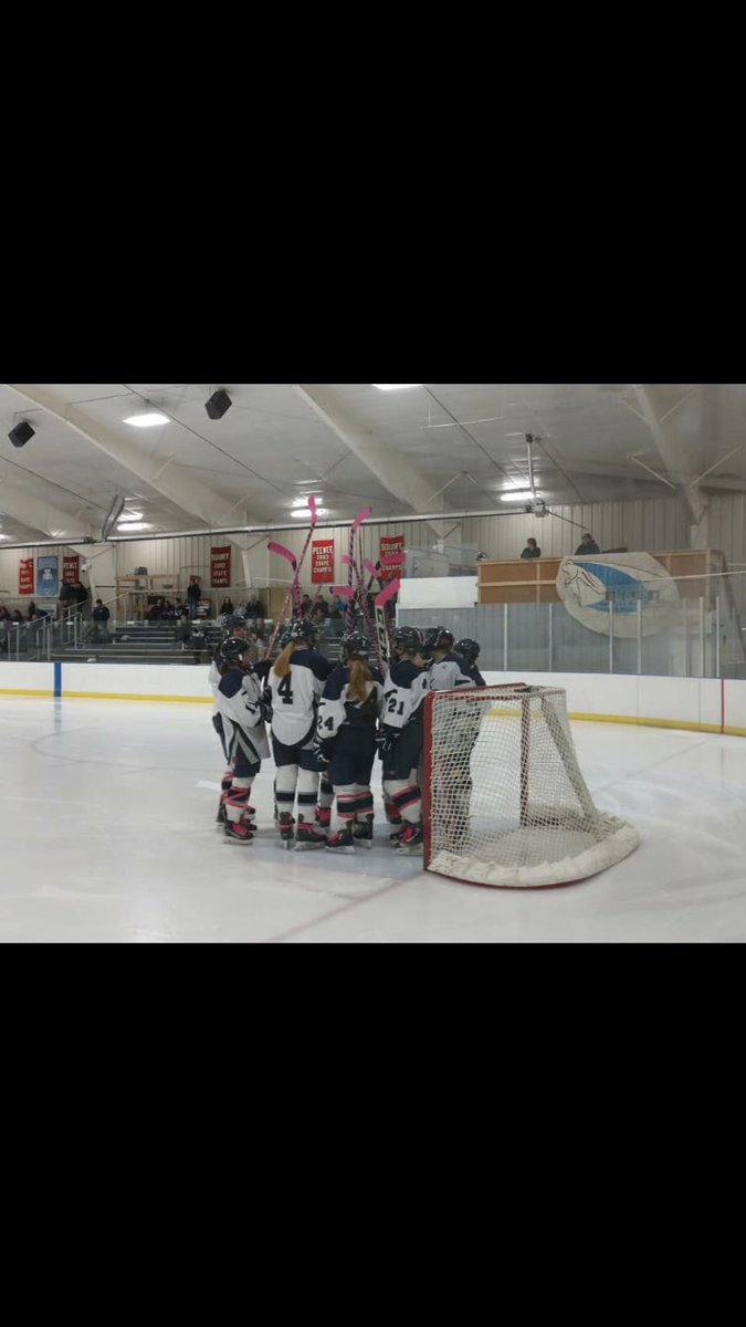 Badger Lightning Girls HS Hockey tweet media