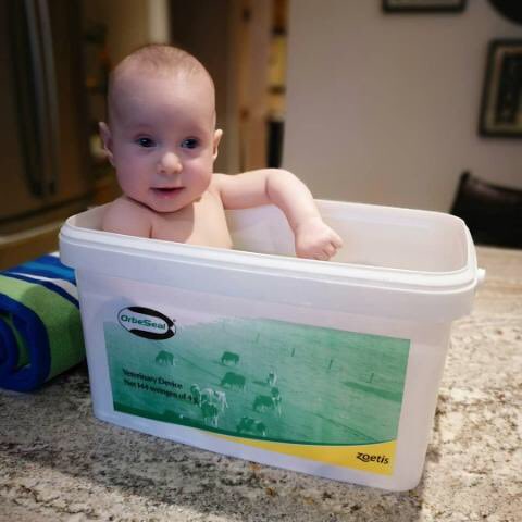 When you’re at oma and opa’s and need a bath...an OrbeSeal bucket will do. <a href="/Zoetis/">Zoetis</a>