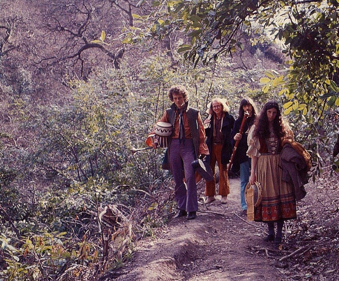 Irish psychfolk group Dr Strangely Strange in 1969.