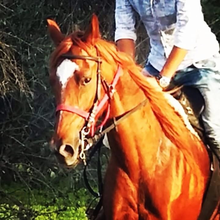 #صورة_ملف_شخصي_جديدة