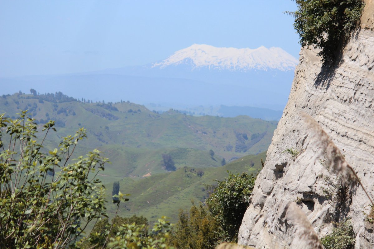 Gavelhouse (gavelhouse) Twitter