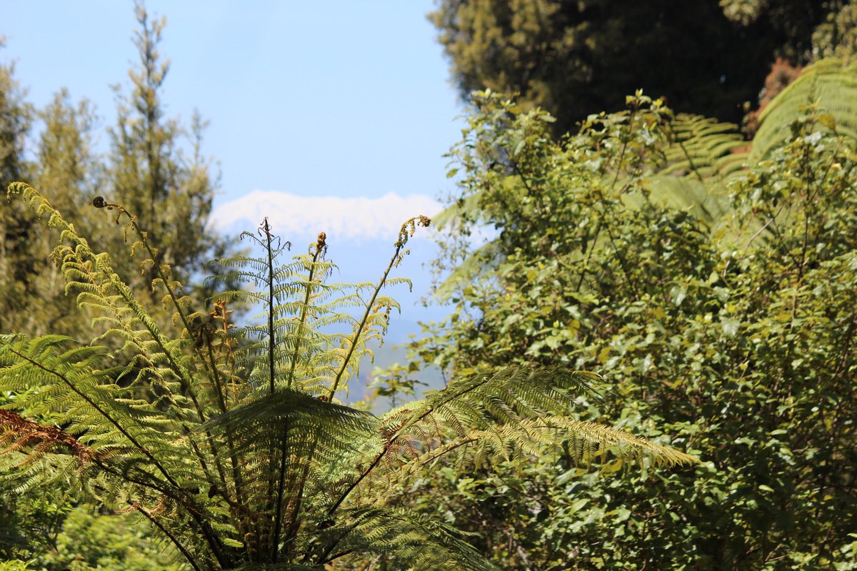 Gavelhouse (gavelhouse) Twitter