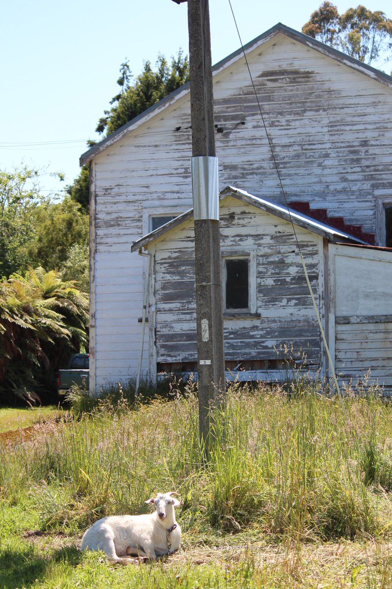 Gavelhouse (gavelhouse) Twitter