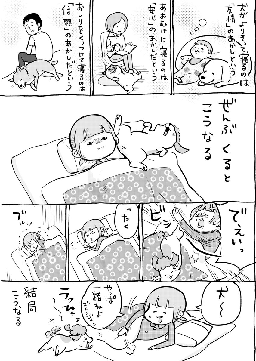 犬と猫どっちも飼ってると、寒い夜もほっこりほっこり。 