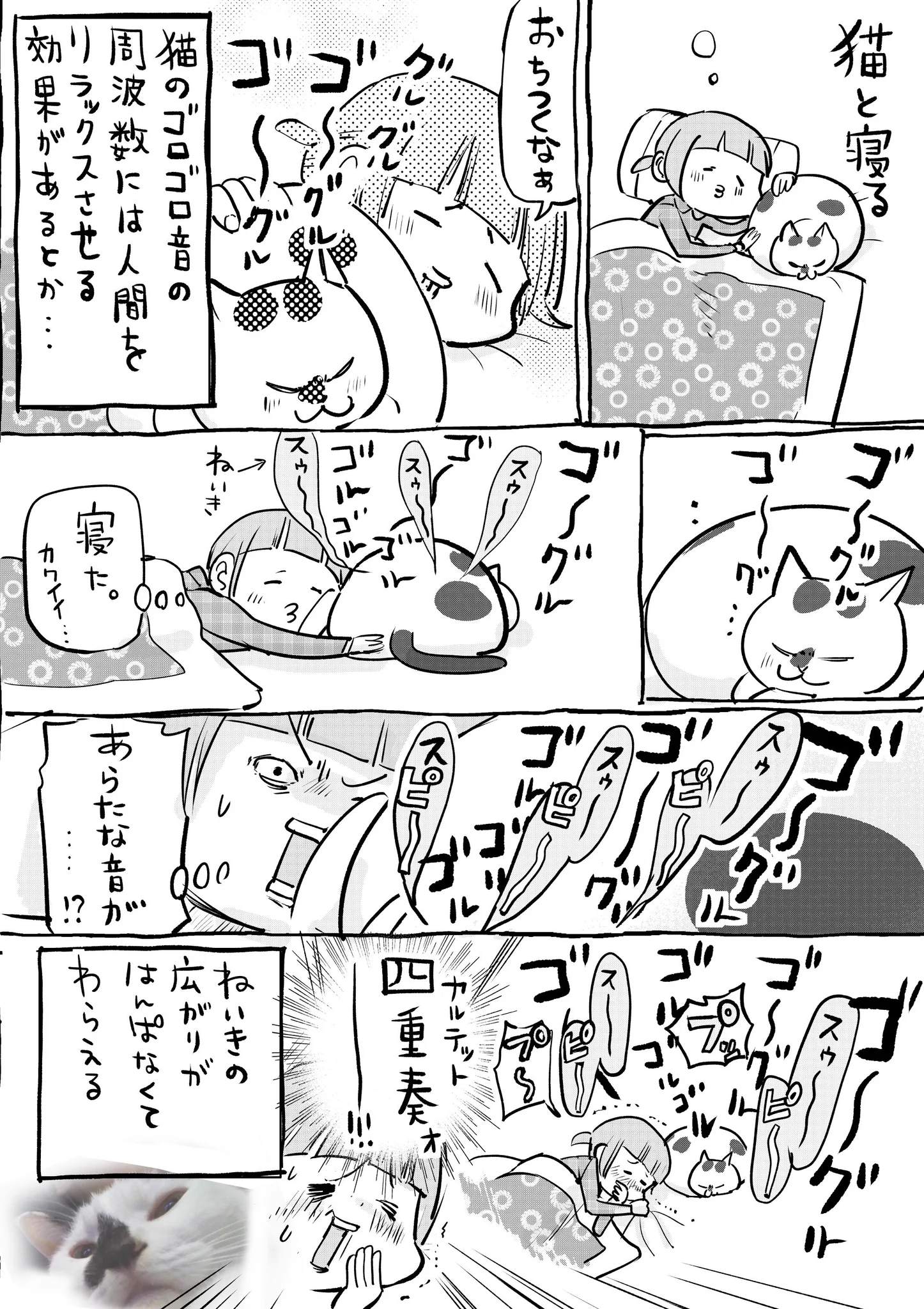 犬と猫、どっちも飼ってると寒いも色々と暖かいらしいww癒されるww