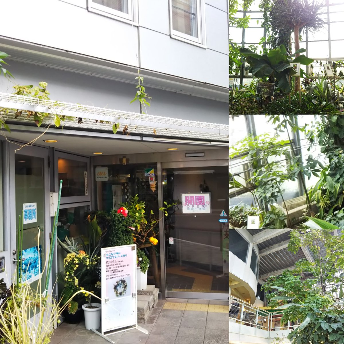 Hiroreropon Di Twitter さぁ 渋谷南エリアでカフェでお茶と言えばこちら 笑 世界一小さな植物園 入館料100円でこの環境 テーブルと椅子もあり最高の休憩スペースです ノ あ 癒される Zzzz 東京 渋谷 渋谷南エリア 世界一