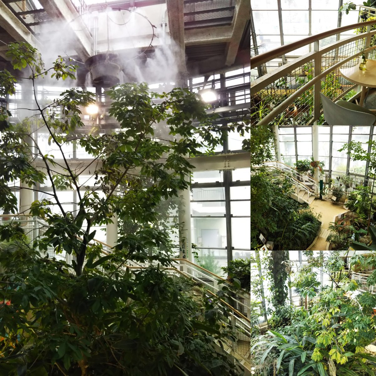 Hiroreropon Di Twitter さぁ 渋谷南エリアでカフェでお茶と言えばこちら 笑 世界一小さな植物園 入館料100円でこの環境 テーブルと椅子もあり最高の休憩スペースです ノ あ 癒される Zzzz 東京 渋谷 渋谷南エリア 世界一