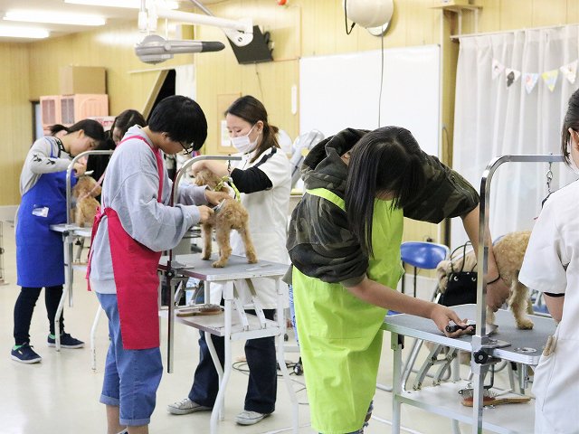 公式 関空ペット総合学院 V Twitter 今日は 選べる体験会 聞ける説明会を開催しています 皆さん 寒さを感じさせないくらいの笑顔で犬たちと体験してくれています 今年もたくさんの方にご来校いただきました ありがとうございます 犬の学校 動物専門の 公式 関空ペット総合学院 V Twitter 今日は 選べる体験会 聞ける説明会を開催しています 皆さん 寒さを感じさせないくらいの笑顔で犬たちと体験してくれています 今年もたくさんの方にご来校いただきました ありがとうございます 犬の学校 動物専門の