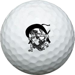 オリジナルゴルフボールgolfname Golfname1 Twitter オリジナルゴルフボールgolfname Golfname1 Twitter