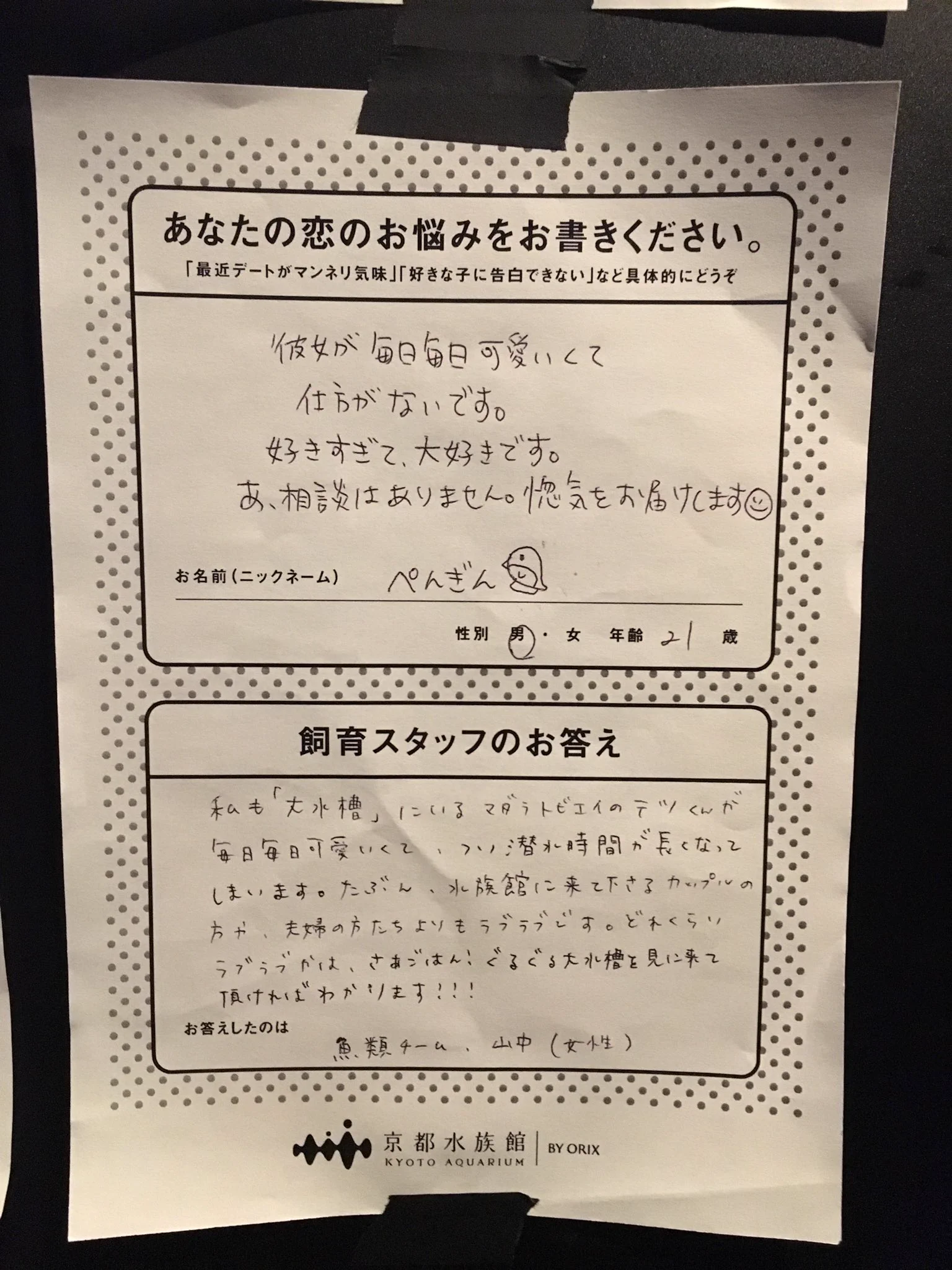 京都水族館の恋愛相談！魚を通した回答が興味深いｗ