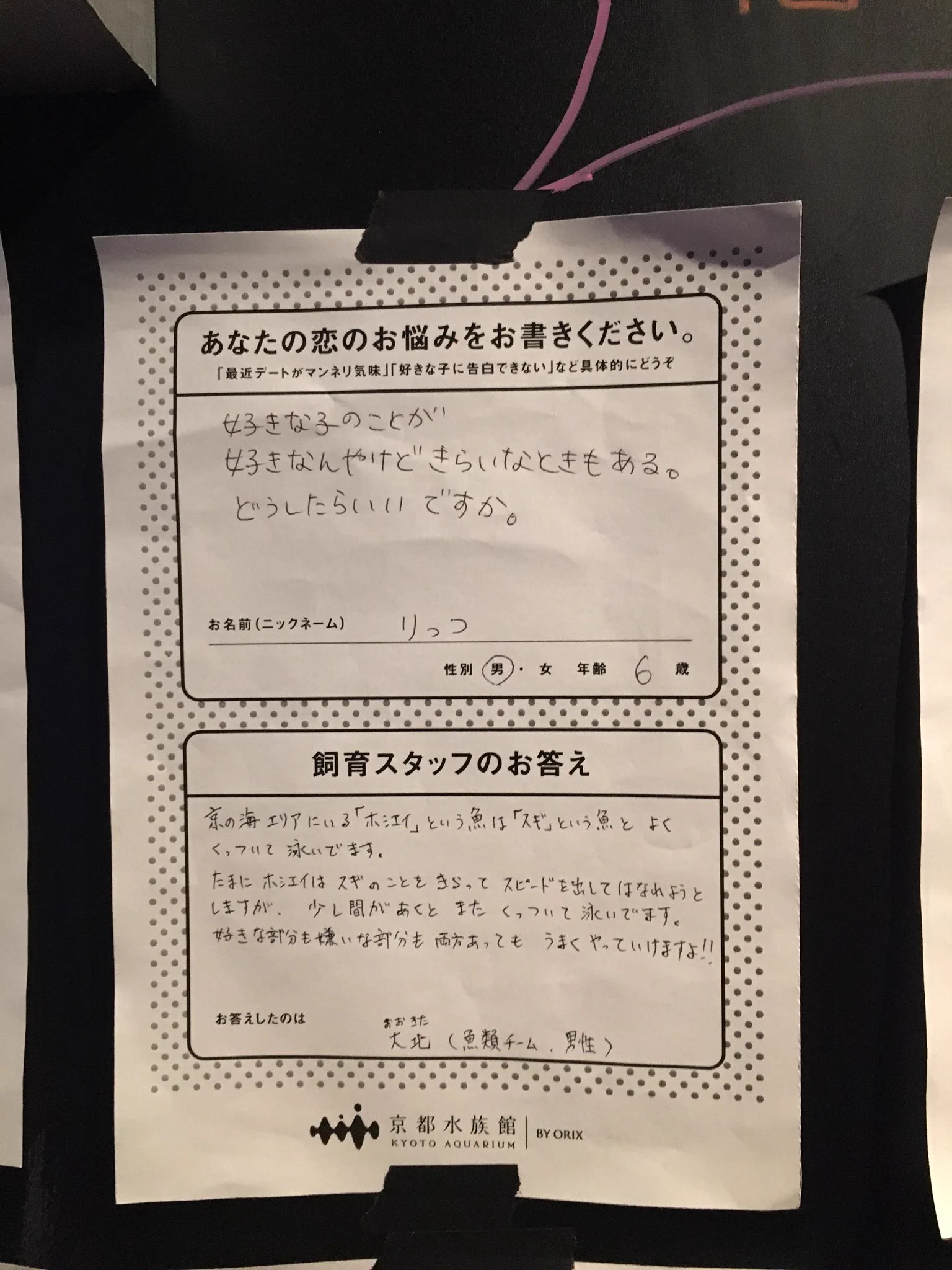 京都水族館の恋愛相談！魚を通した回答が興味深いｗ