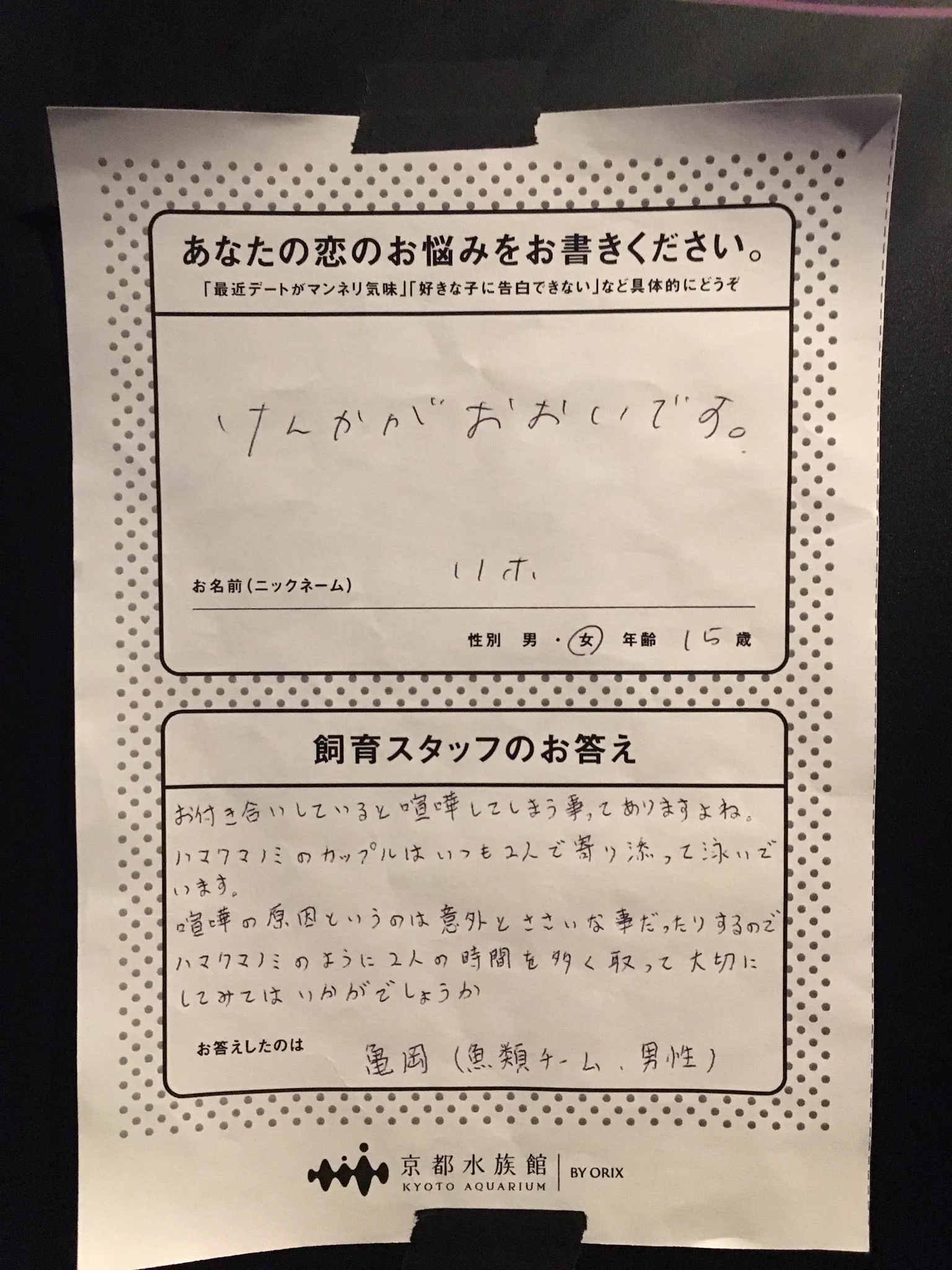 京都水族館の恋愛相談！魚を通した回答が興味深いｗ