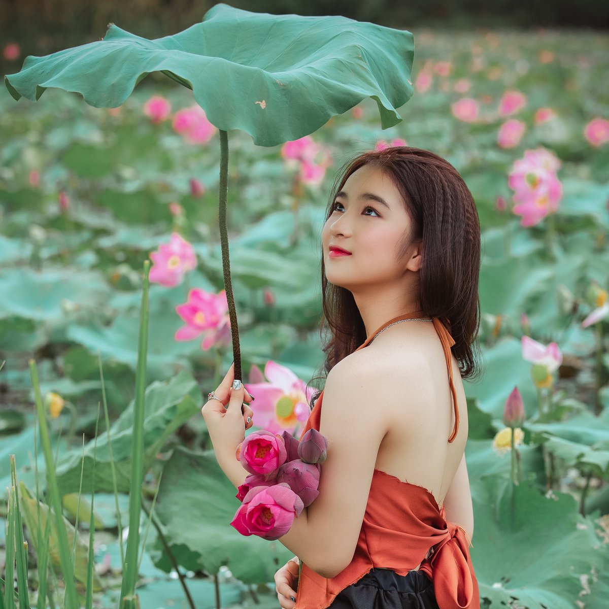 💘Loveflowers🥀 (@loverosehy) on Twitter photo 