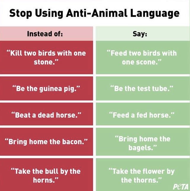 zzsmiller's tweet photo. .@WillieAtFLO #PleaseStudy for @peta https://t.co/26vi3MOBti