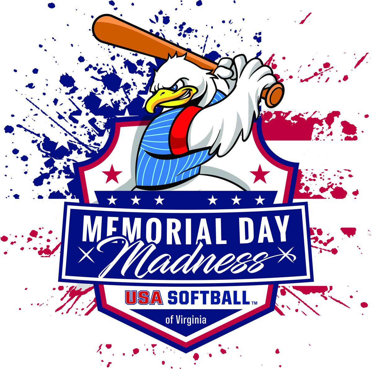USA Softball of VA tweet media