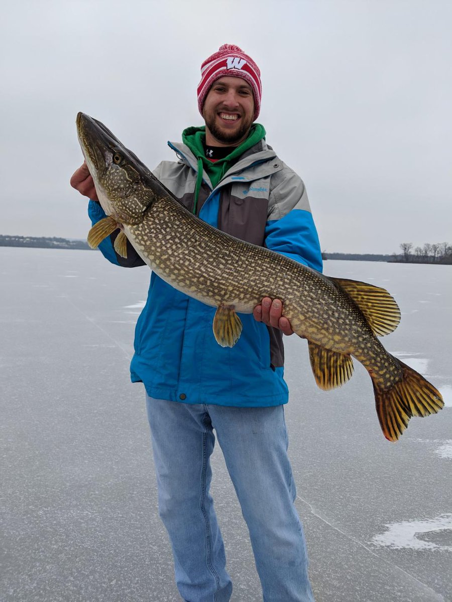 JacobScriver's tweet image. First time #icefishing this year and was able to introduce Mark to the sport. The first timer caught keepers of four different species including this 36" northern. Good way to start the season. #esox #fishing