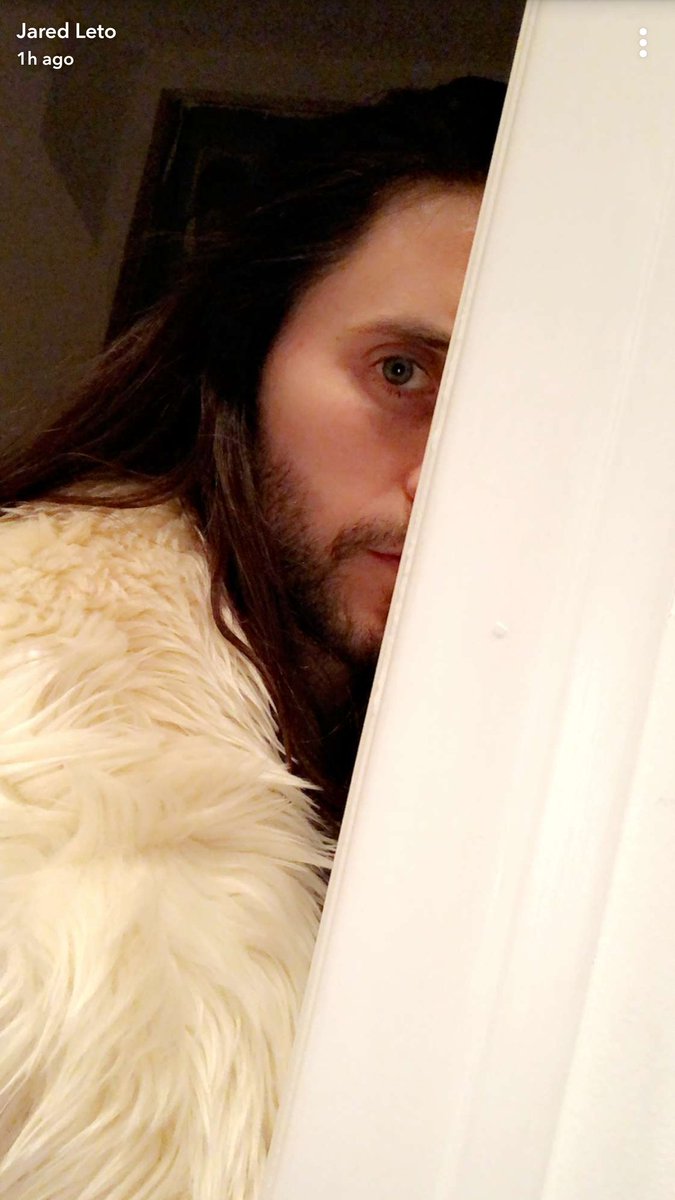 marobabec's tweet photo. @JaredLeto 👻❤ https://t.co/Bys3XHj8R2