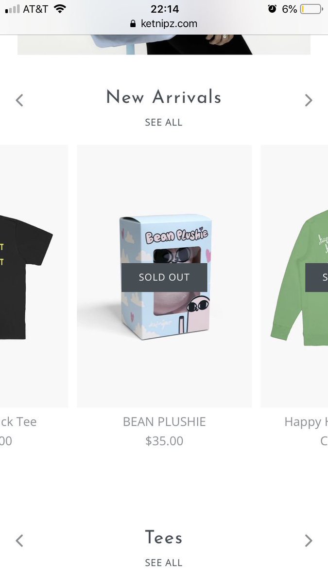 bean plushie ketnipz