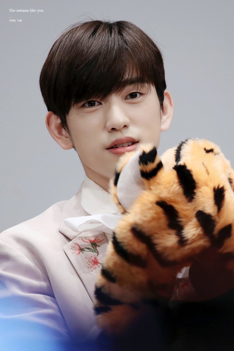 🍑 จินยองที่แปลว่าเสือ 🐯 tweet media