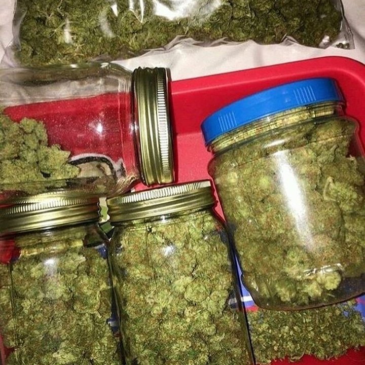 MercyJim6's tweet image. Ganja🍁