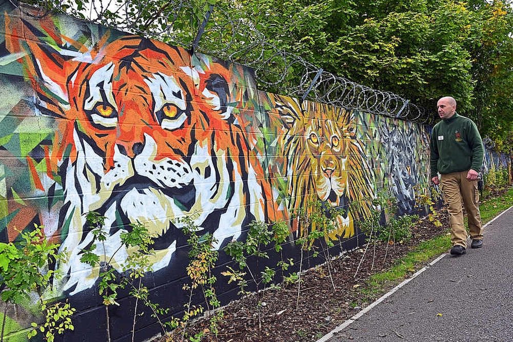 BoundaryWay's tweet photo. #WolverhamptonArts Advent Calender day 9 Wolverhampton based Graffiti artist Steve Edwards @SteGraffoflarge creates murals across the Black Country https://t.co/UCYGlZkidV https://t.co/qrLtgDQfR7