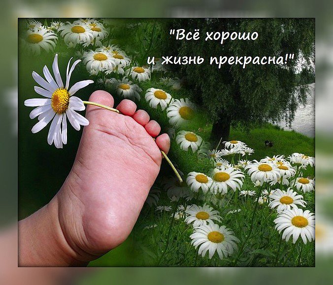 Поздравление, открытка жизнь прекрасна удивительна
