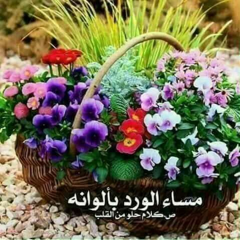 حلا (@hhala2551) on Twitter photo 